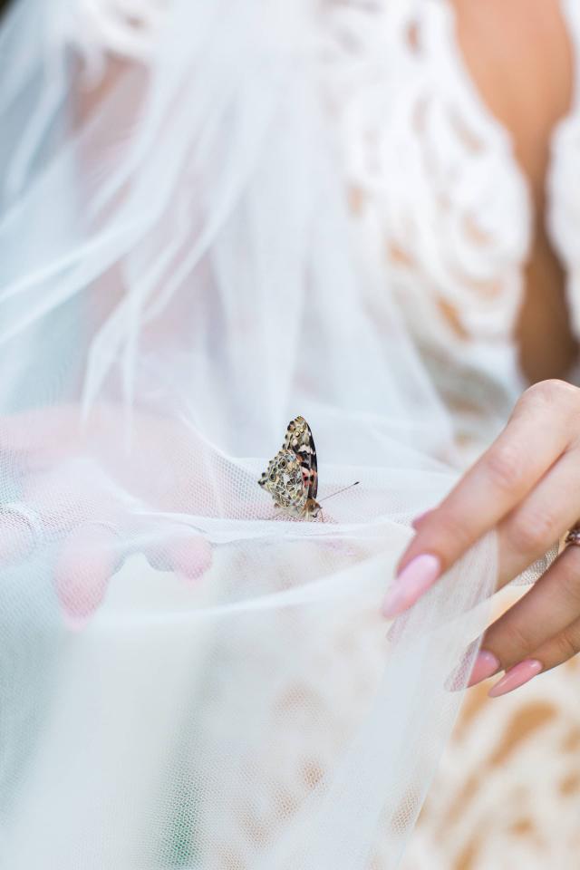 Bride Holding Butterfly at Carly & Ben's Wedding
