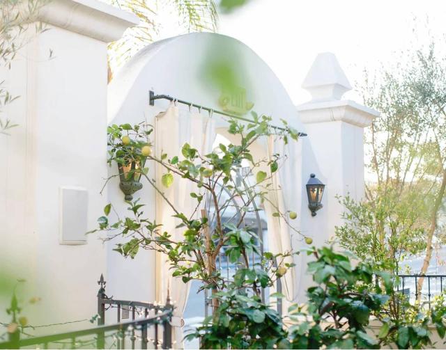 Villa & Vine Entrance