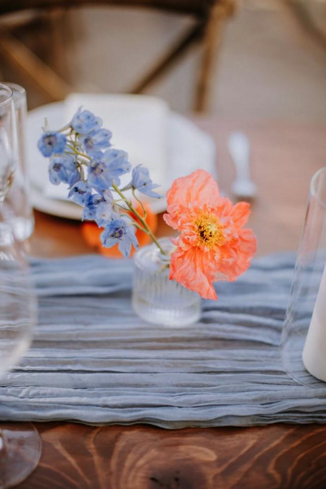 Clode up shot of a blue and orange flower for Veronica & Jake’s Wedding