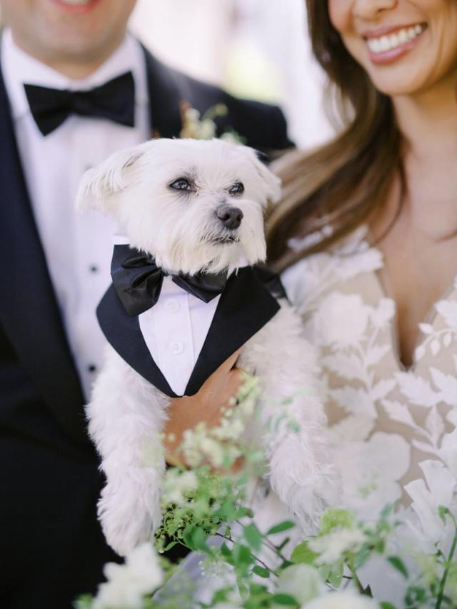Bride, groom and dog all dressed up for Jammie & Duncan's Wedding