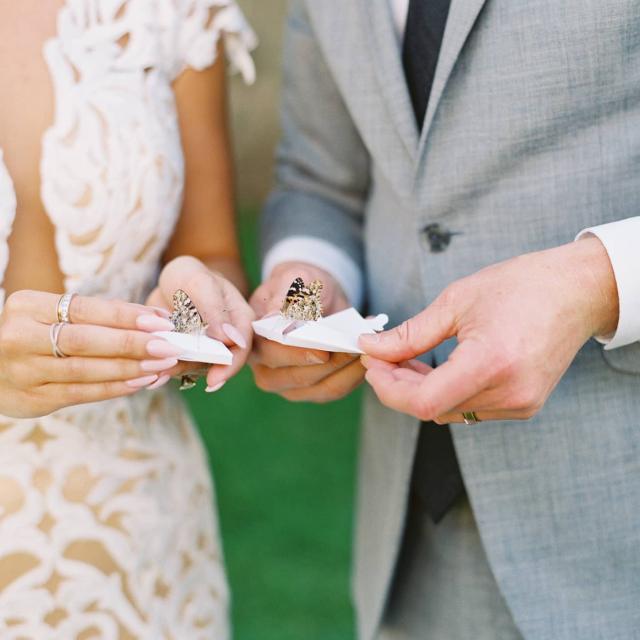 Bride & Groom Holding Butterflies at Carly & Ben's Wedding